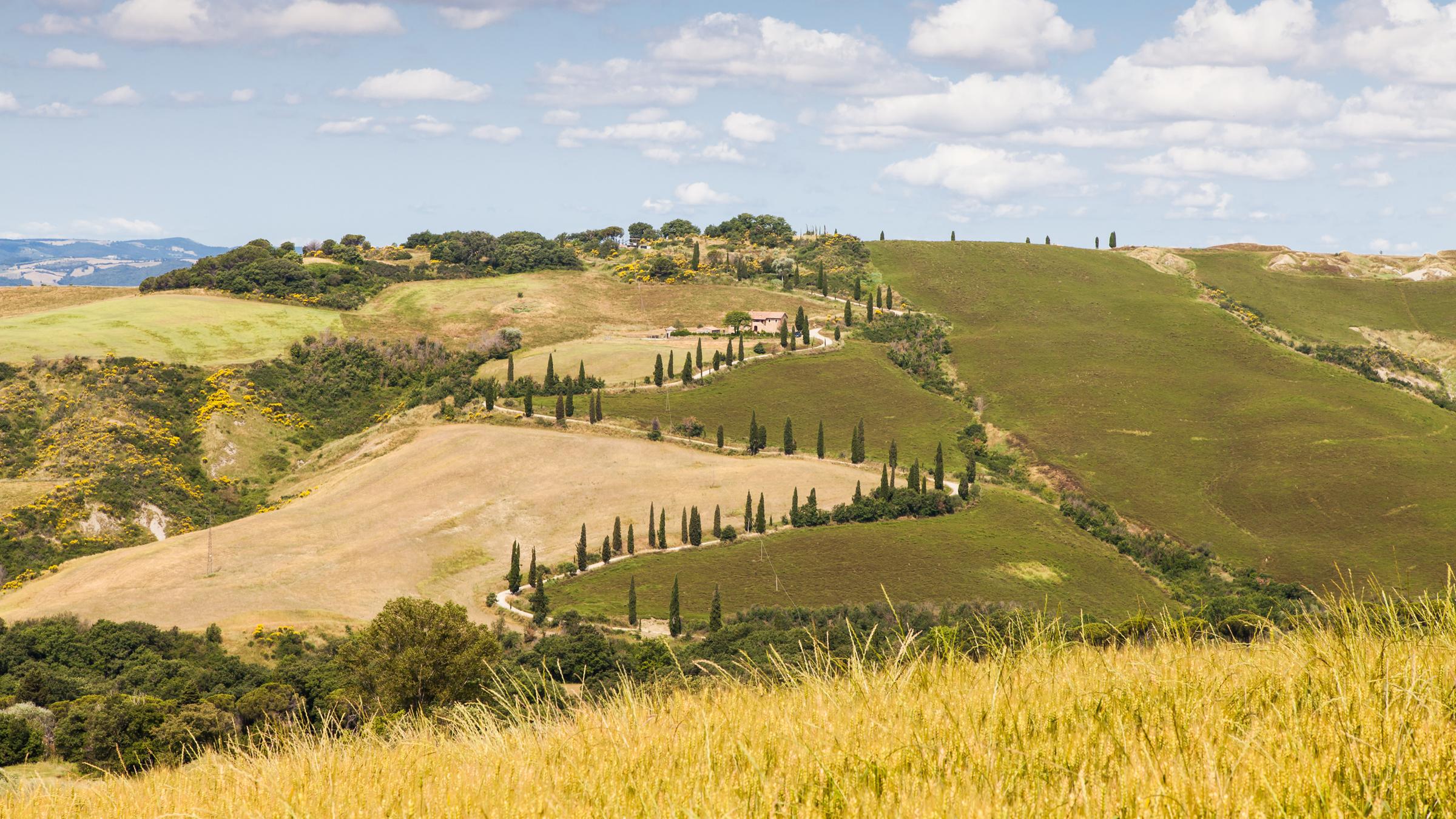 Man sieht eine hügelige Landschaft in der Toskana mit Bäumen und Feldern.