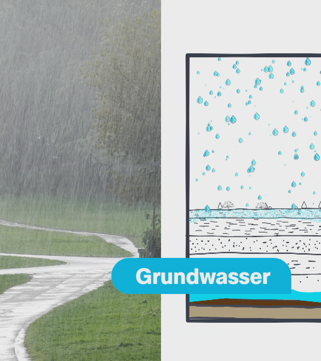 Trockene Böden trotz Regen