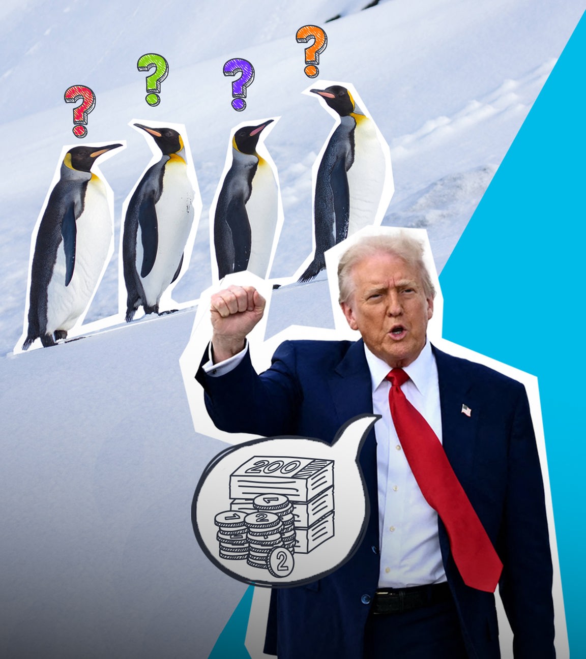 Trump will Zölle - Pinguine auf den Heard-Inseln