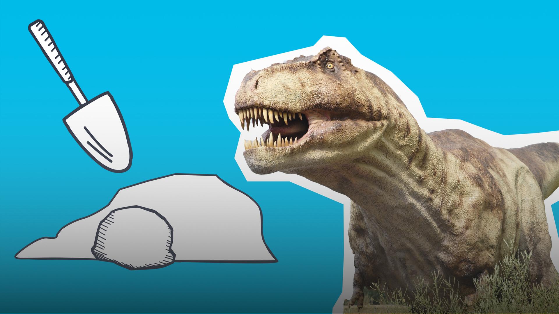 Tyrannosaurus Rex steht neben einer Schaufel und einem Stein.