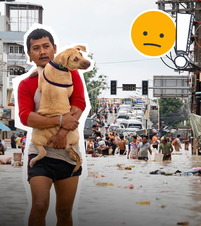 Überschwemmungen in Thailand, eine Straße voller Wasser und Menschen darin, ein Mann trägt einen Hund