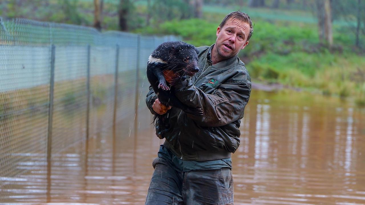 Mann steht im Hochwasser mit Hund auf Arm