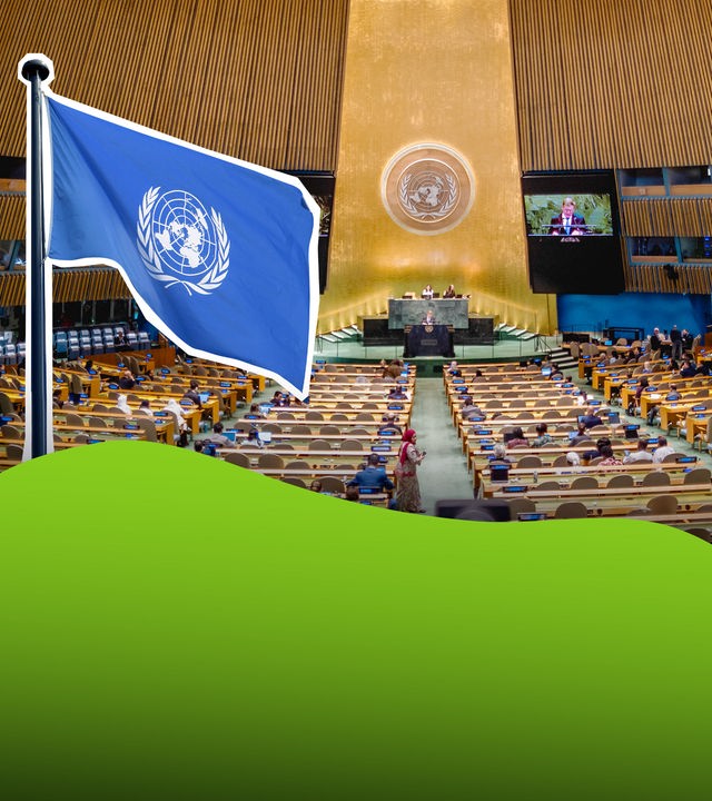 UNO - Vereinte Nationen