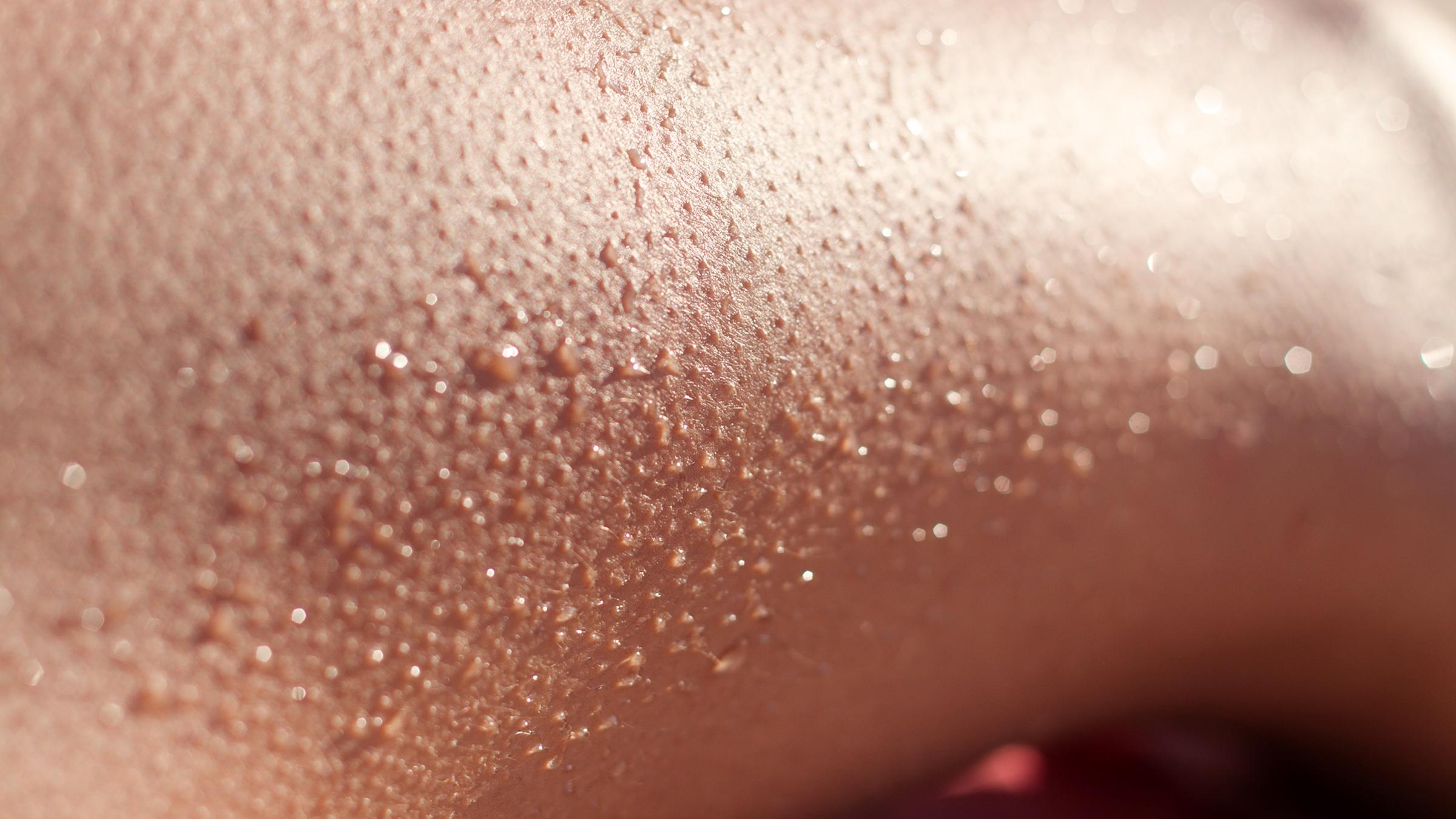 Die Haut des Menschen