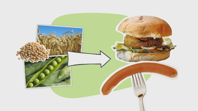 Vegan