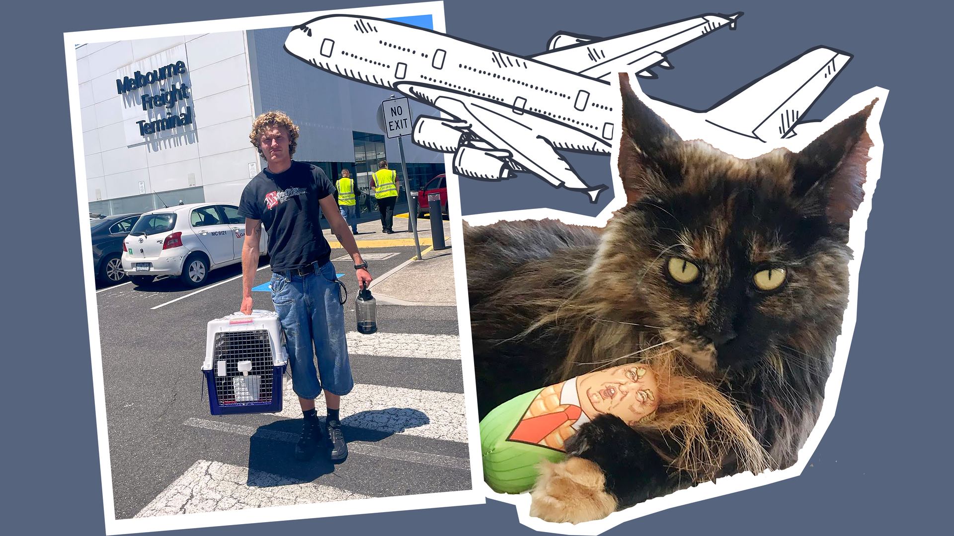 Katze Mittens mit Trump-Spielzeug, Flugzeug und in einem Transportkäfig.