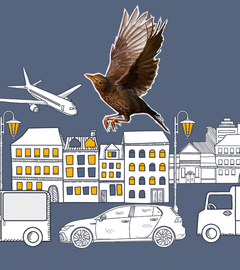 Amsel, Spatz und Meise vor gemalter Stadtkulisse