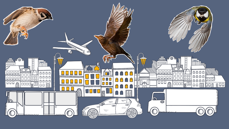 Amsel, Spatz und Meise vor gemalter Stadtkulisse