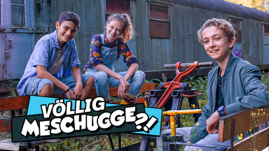 Völlig Meschugge