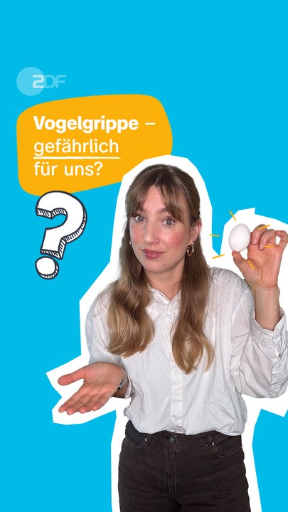 In einer gelben Bubble steht: Vogelgrippe - gefährlich auch für uns? Darunter ein Fragezeichen und eine Frau, die ein Ei in der Hand hält