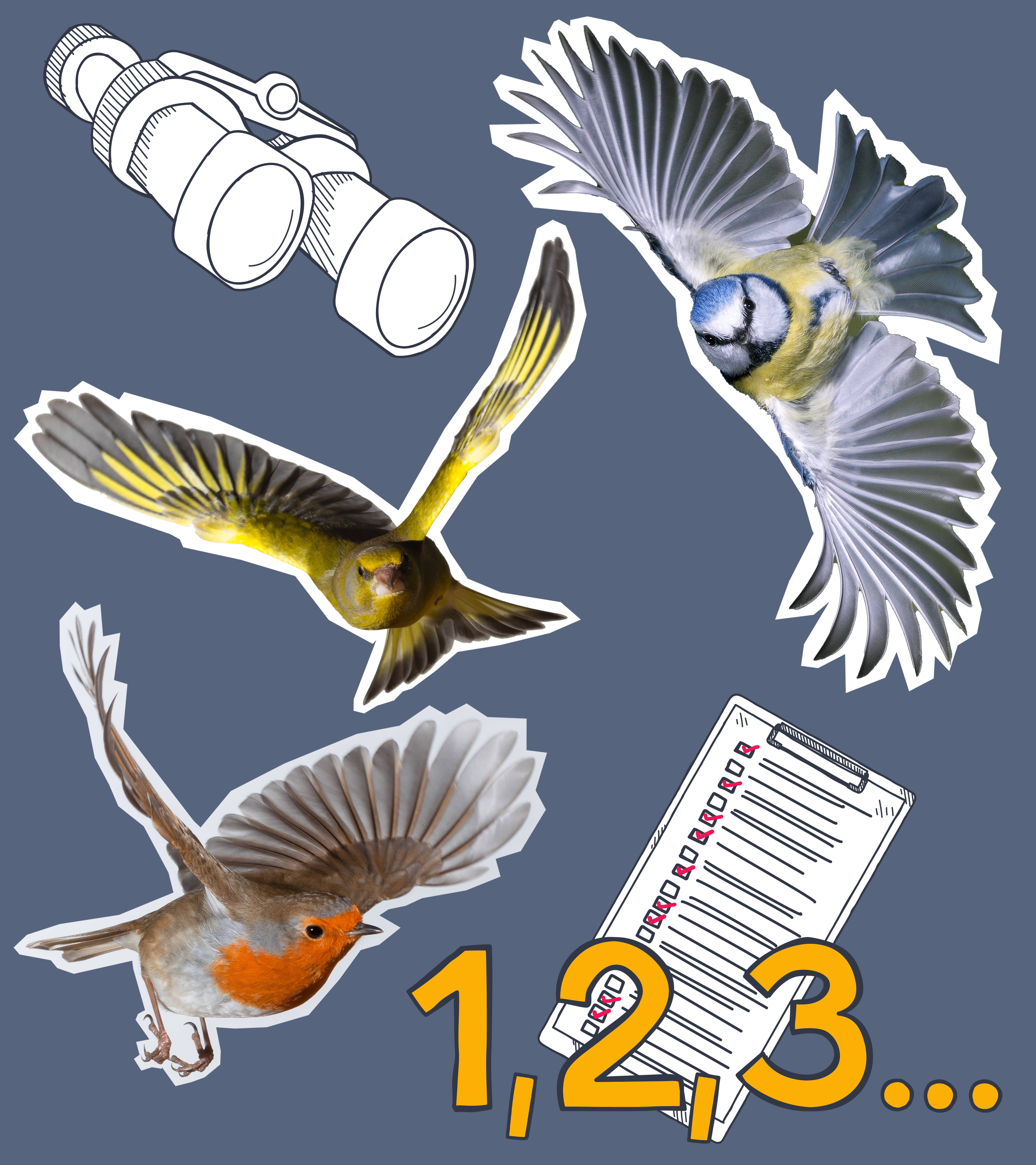 Blaumeise, Rotkelchen und Grünfink flattern herum, daneben ein Fernglas, ein Klemmbrett und die Zahlen 1, 2, 3, ...