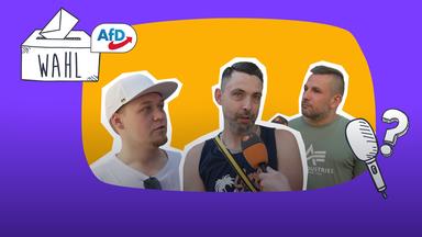Straßenumfrage AfD