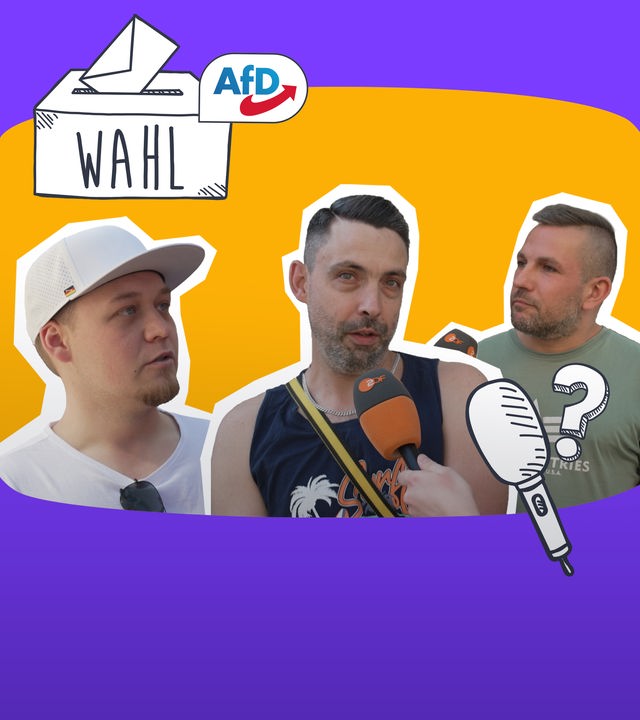 Straßenumfrage AfD