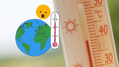 Thermometer, welches knapp 40 Grad zeigt.