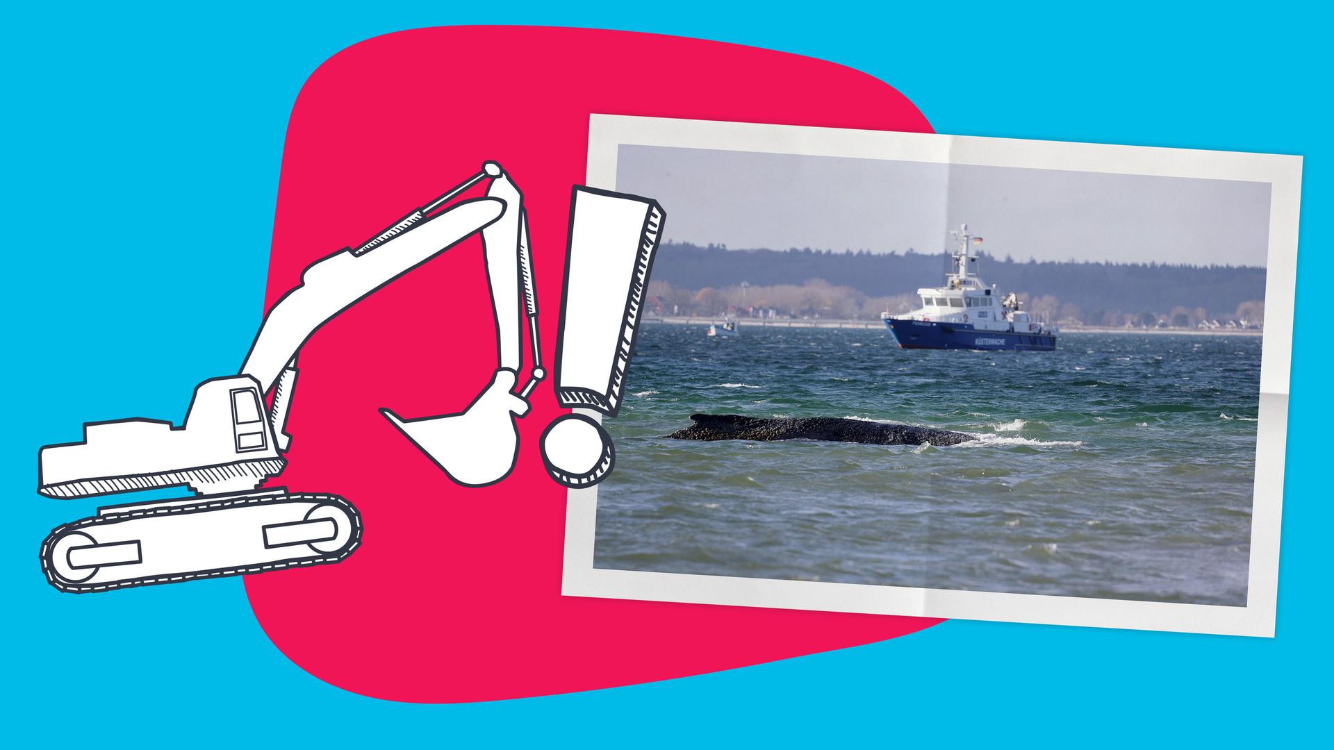 Wal der im Wasser lieg; Bagger-Zeichnung