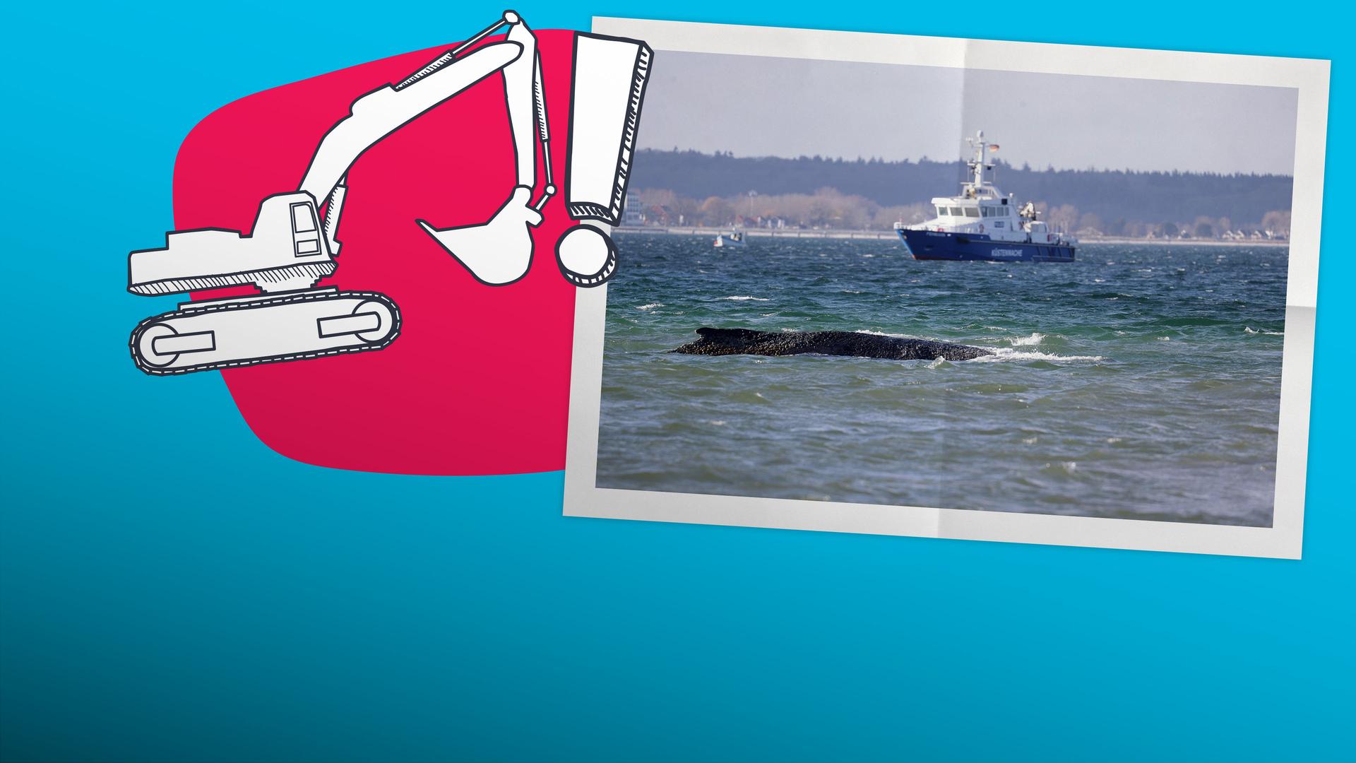 Wal der im Wasser lieg; Bagger-Zeichnung