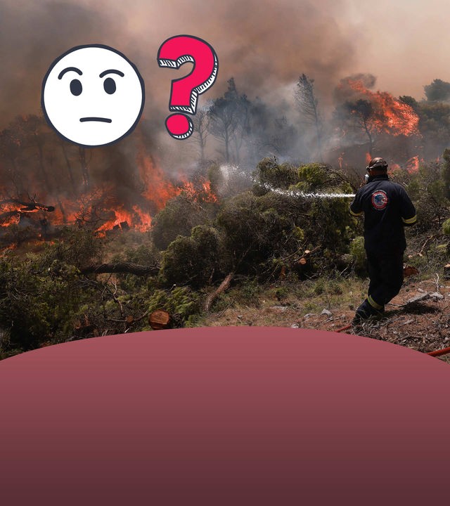 Waldbrände: Was der Klimawandel damit zu tun hat