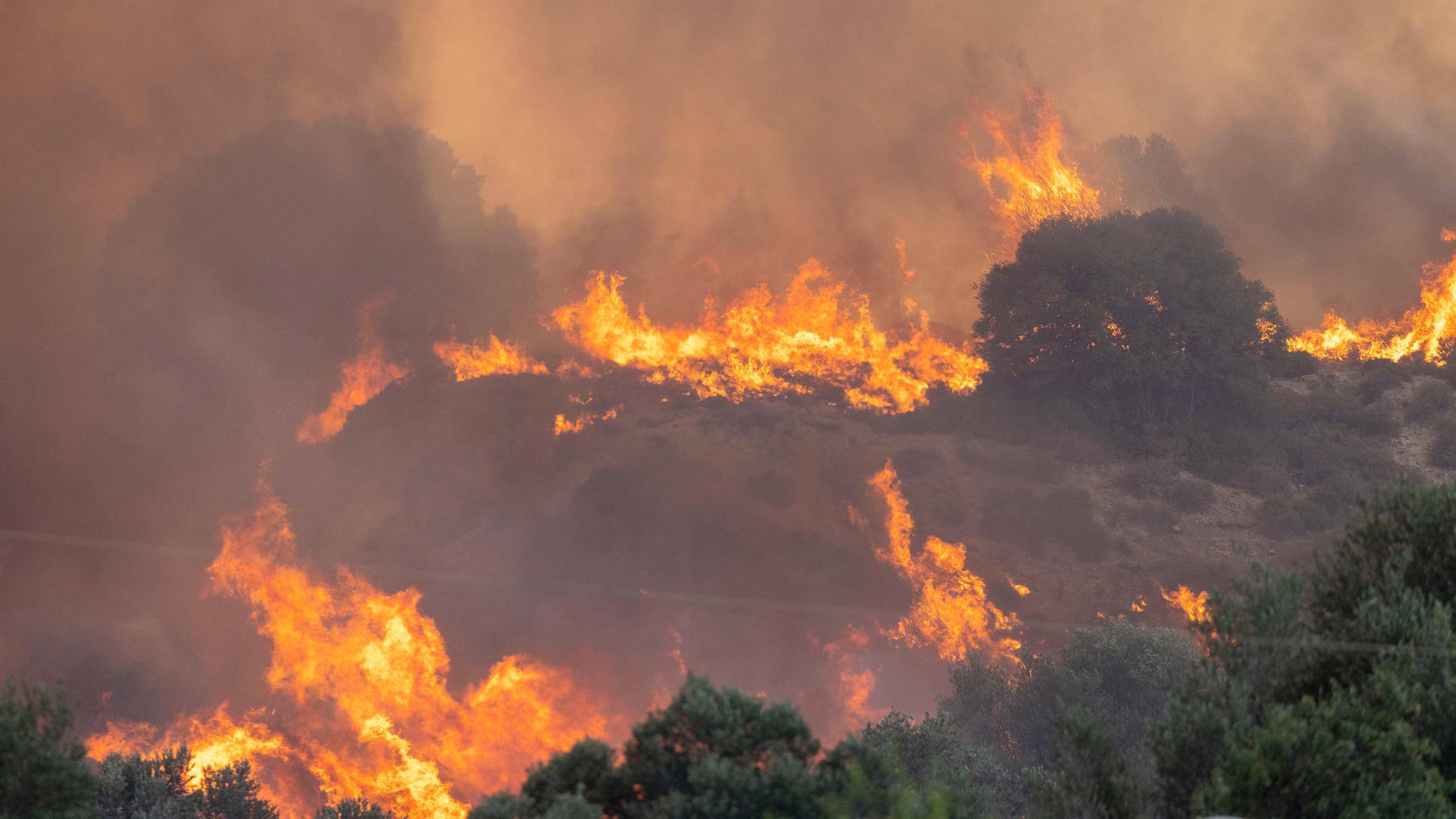 Ein Feuer breitet sich im Wald aus.