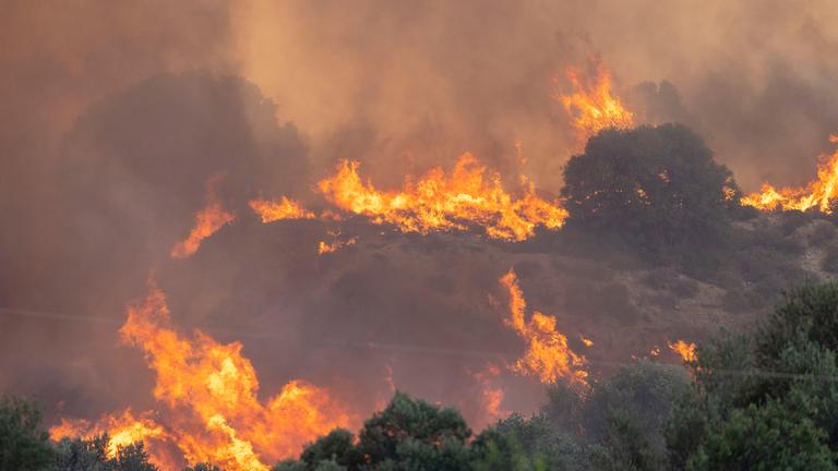 Ein Feuer breitet sich im Wald aus.