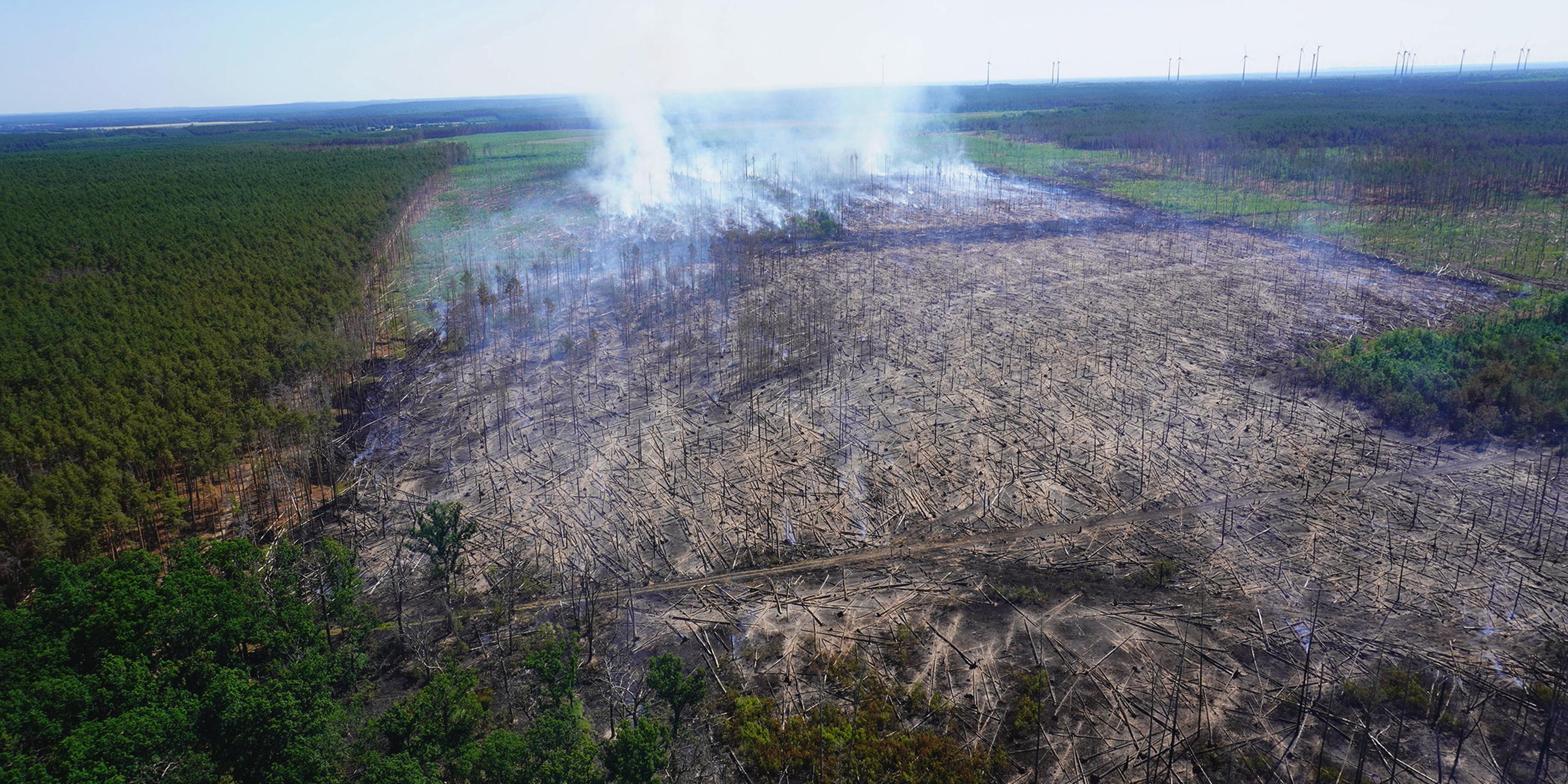 Das Luftbild zeigt ein Areal eines Waldbrandgebiets bei Treuenbrietzen in Brandenburg