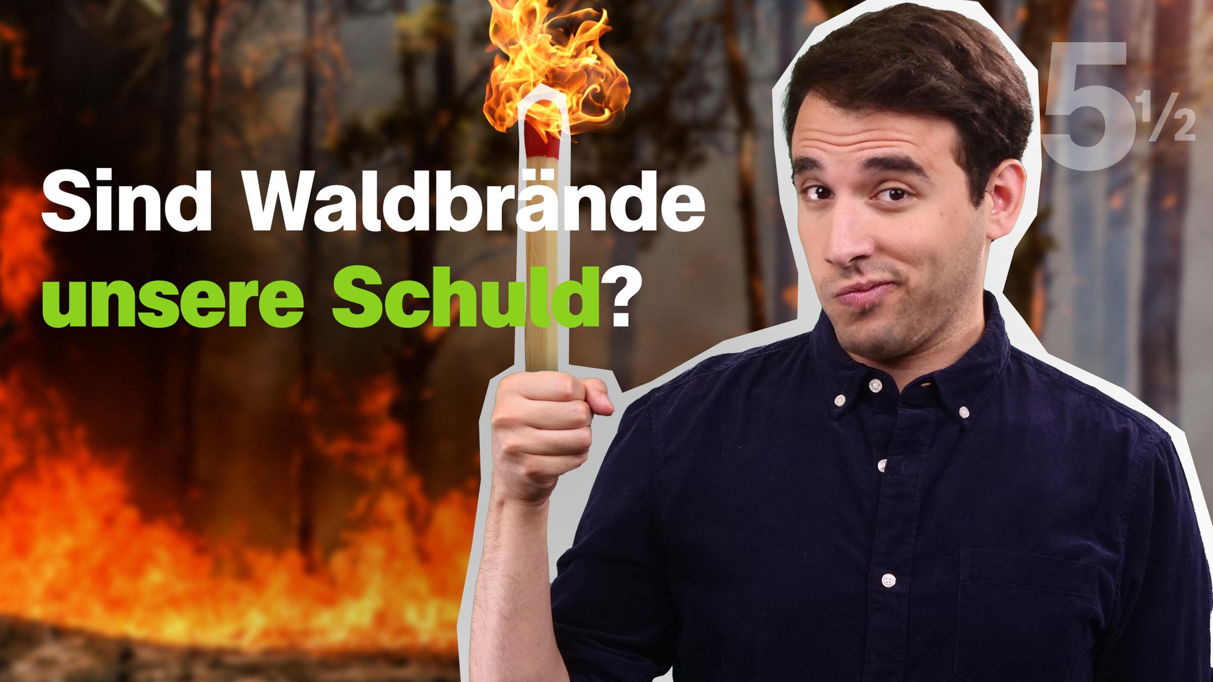 Waldbrand Fakten