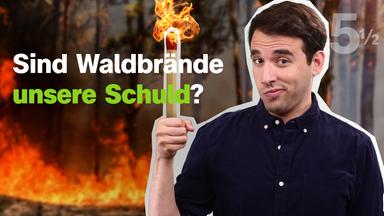 5½ Fakten über Waldbrände