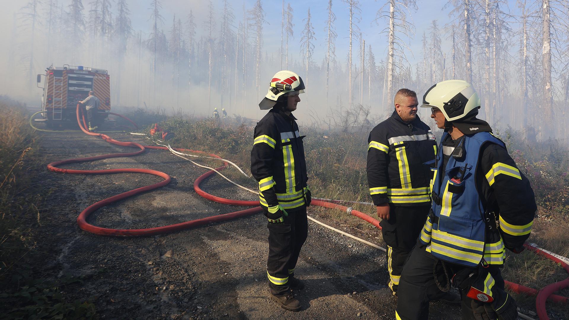Waldbrand: Harz, Schierke, Sachsen-Anhalt