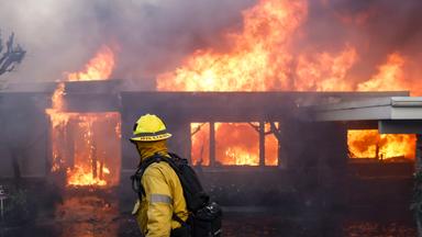 Palisades Wildfire in Los Angeles, California