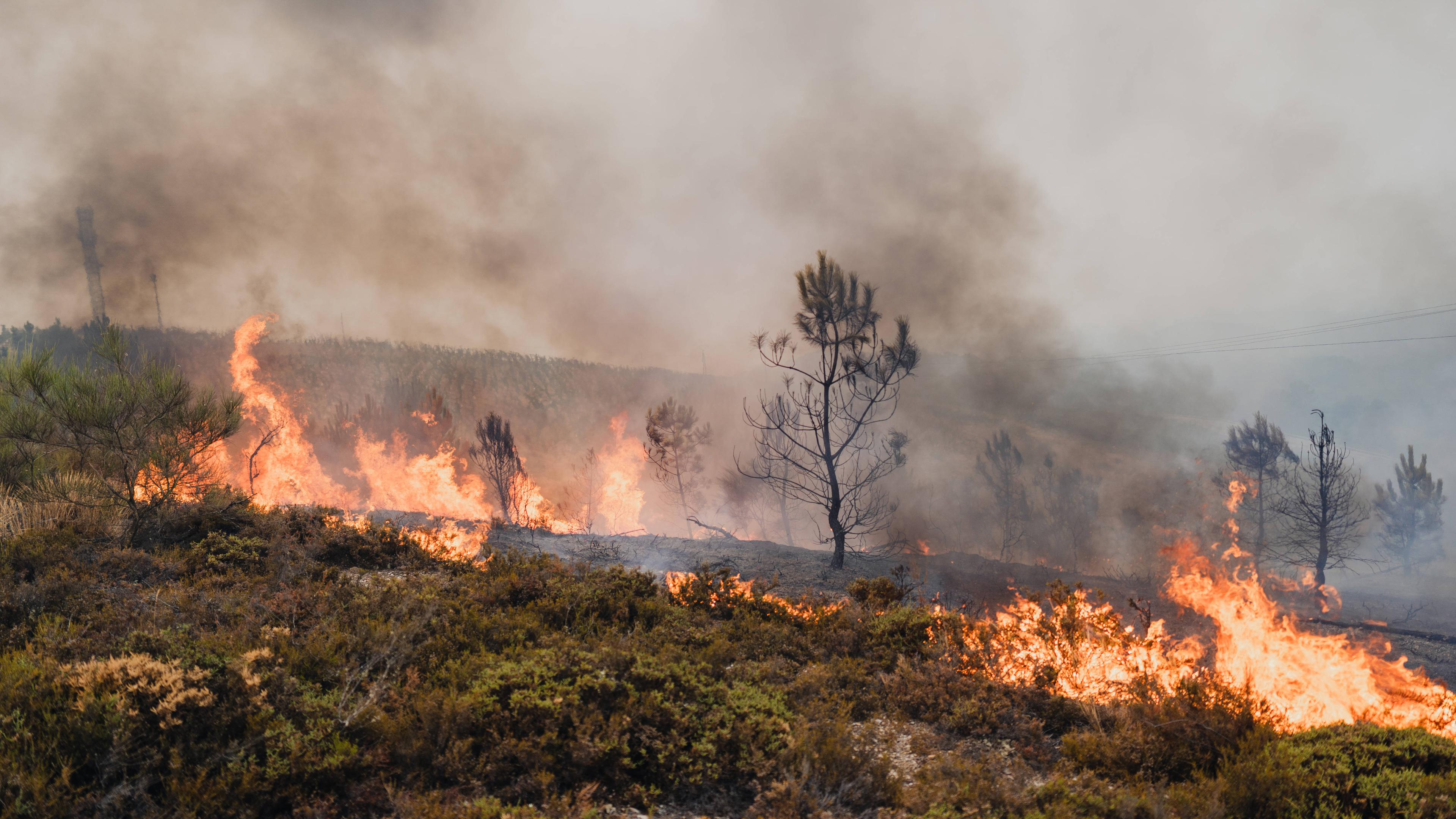 Ein schwerer Waldbrand wütet in der spanischen Region Galizien.