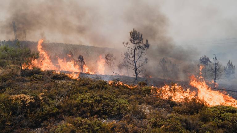 Ein schwerer Waldbrand wütet in der spanischen Region Galizien.
