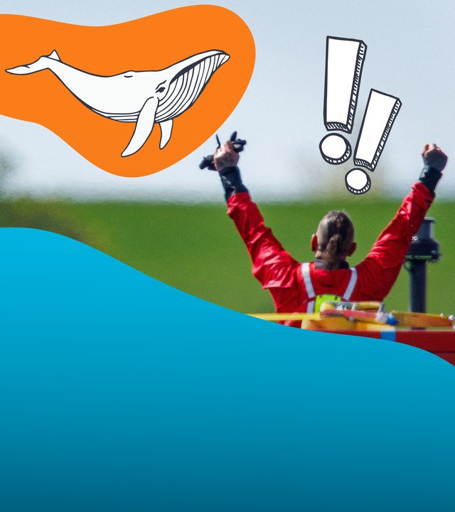 Ein jubelnder Helfer ist von hinten zu sehen. Darüber schwebt das gezeichnete Bild eines Wals und ein Ausrufezeichen.