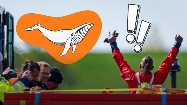 Ein jubelnder Helfer ist von hinten zu sehen. Darüber schwebt das gezeichnete Bild eines Wals und ein Ausrufezeichen.