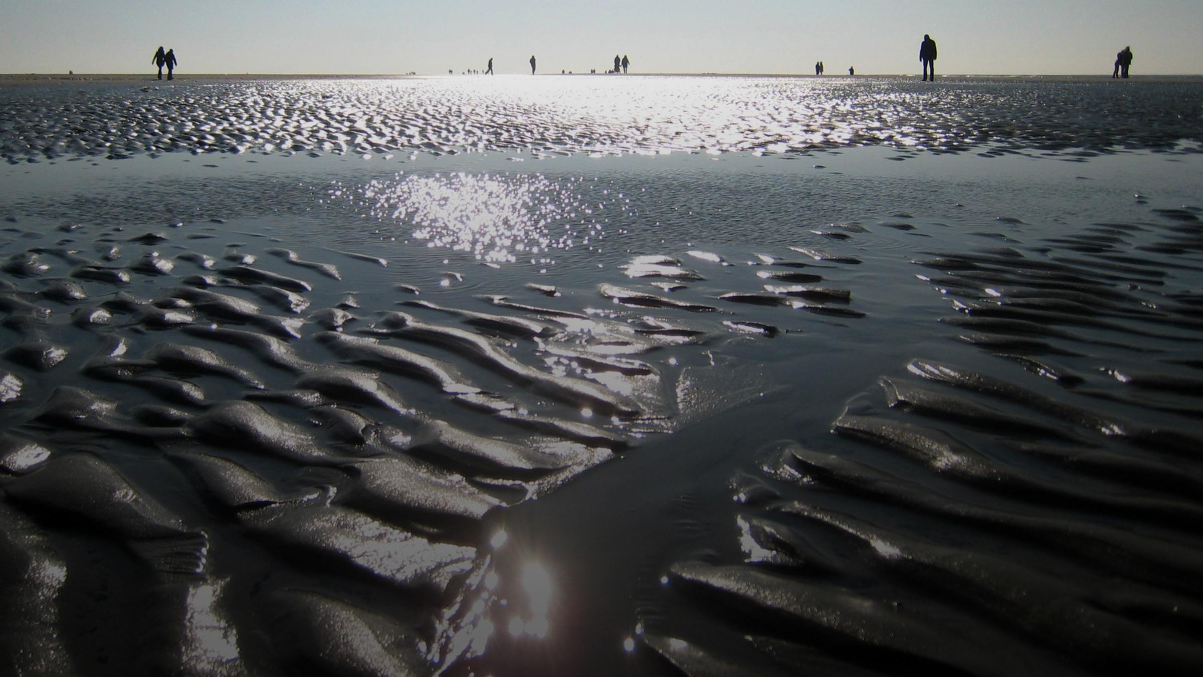 Menschen im Wattenmeer