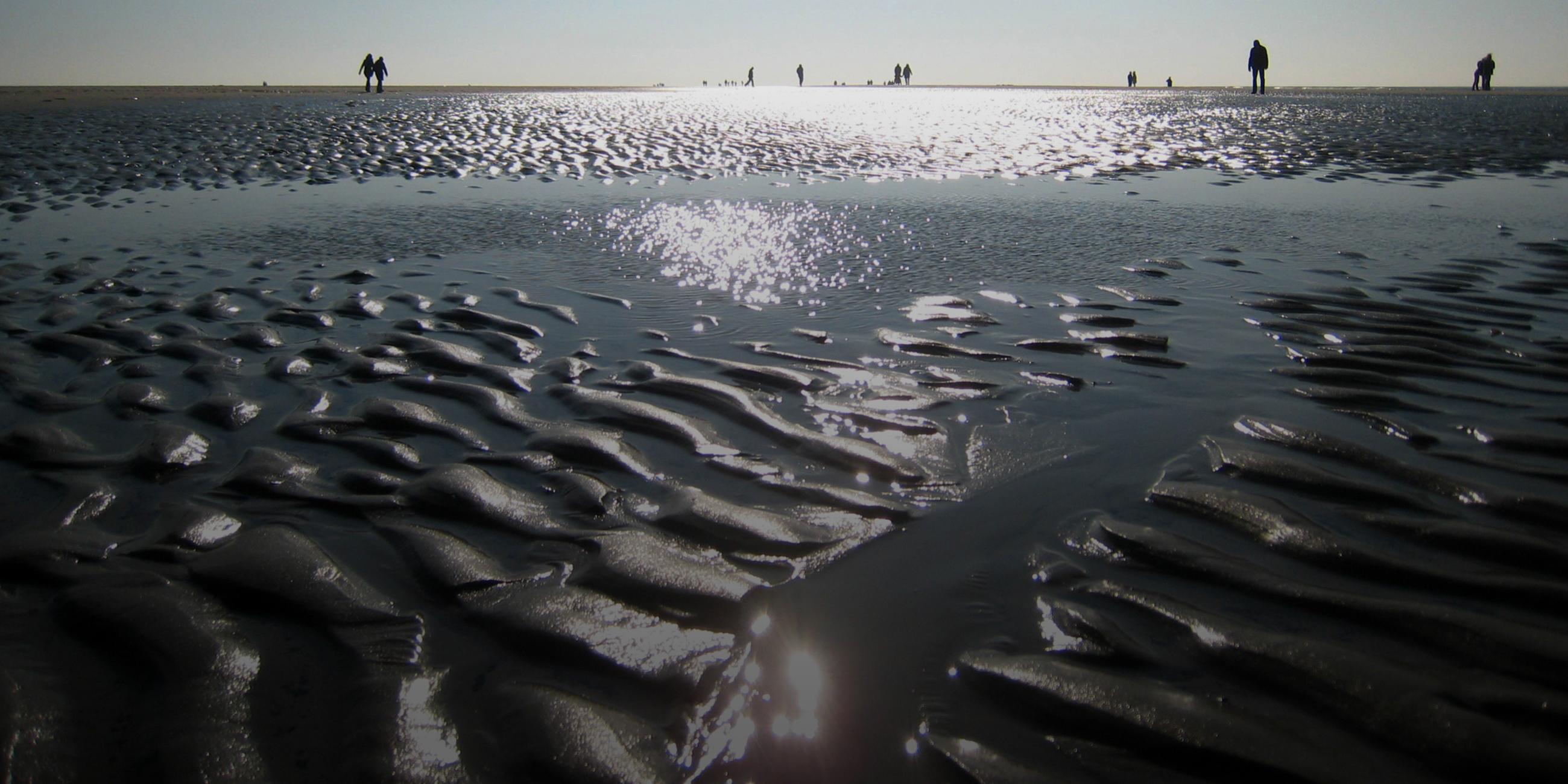 Menschen im Wattenmeer