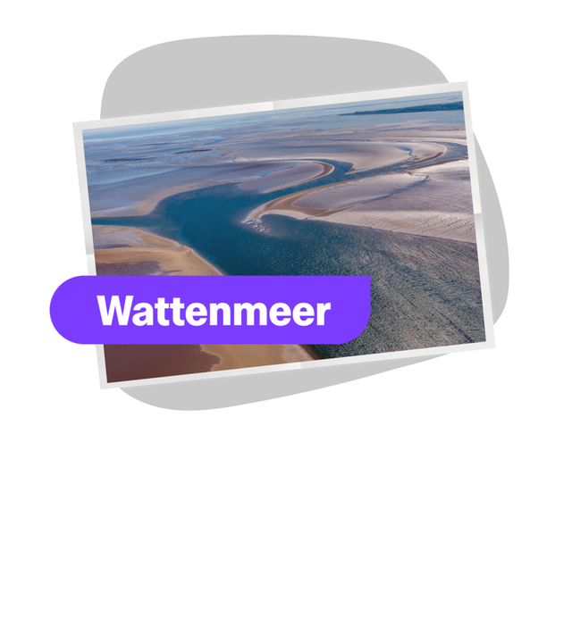 Wattenmeer 