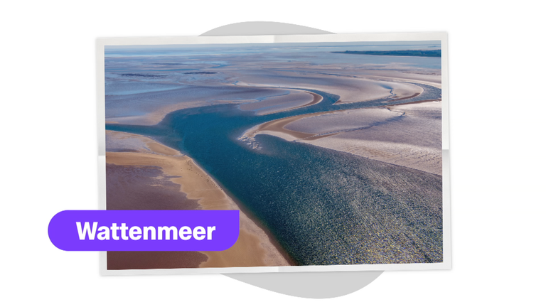 Wattenmeer 