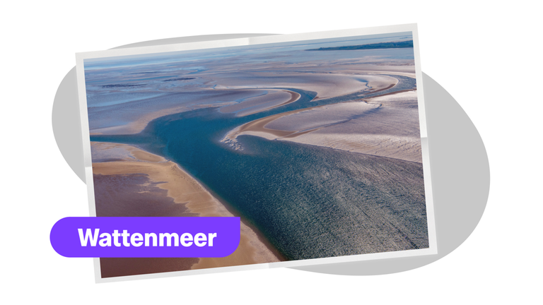 Wattenmeer 