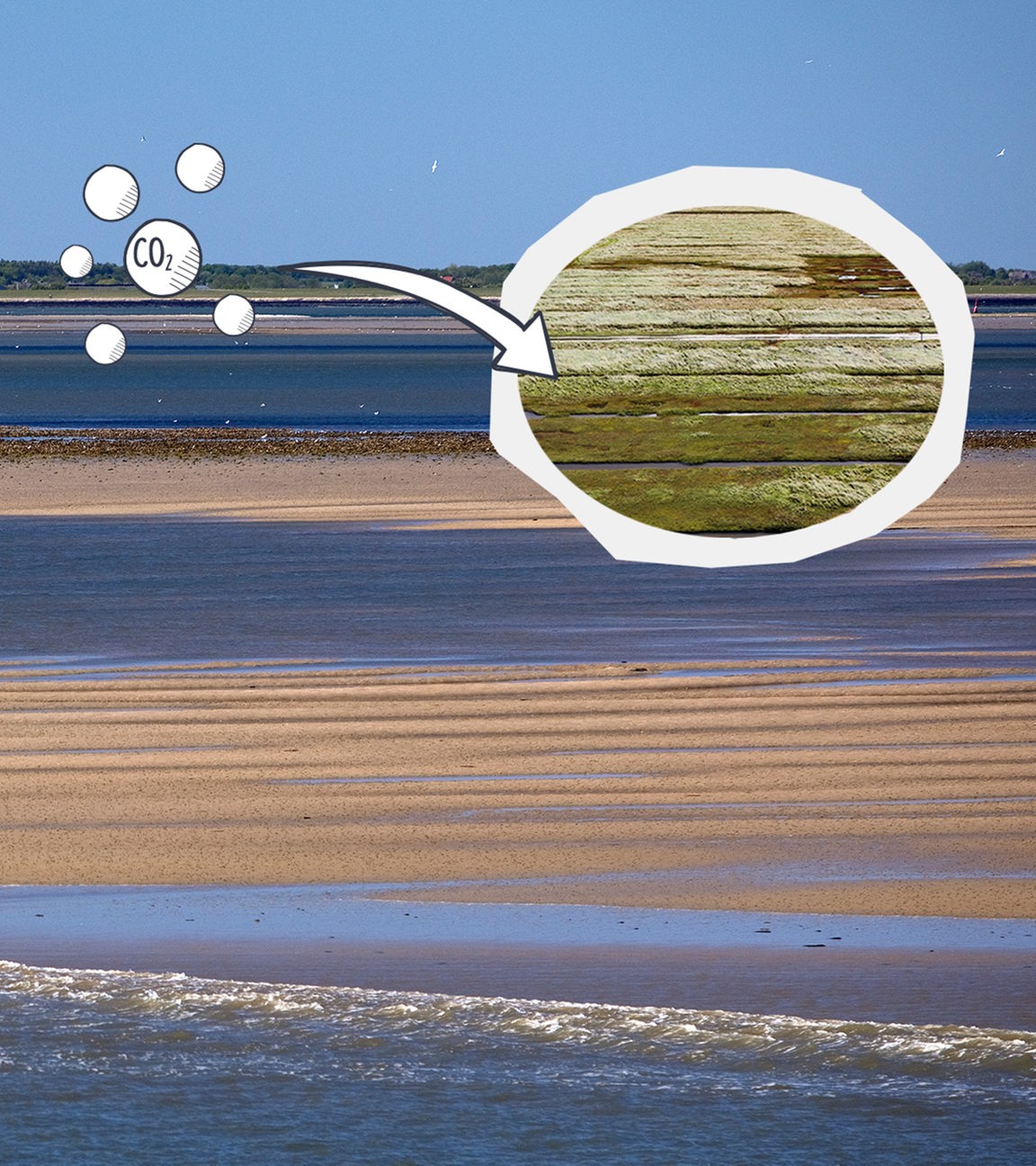 Wattenmeer und Salzwiesen