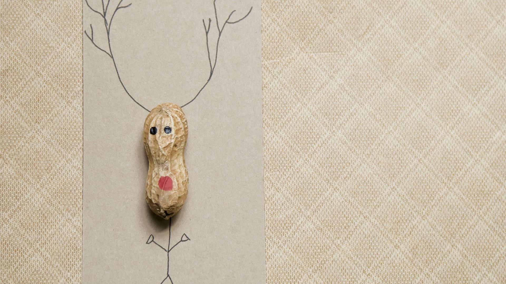 Eine Erdnussschale wurde auf ein Stück Papier geklebt. Dann wurde oben drüber zwei Hörner und unten Hände und Füße gemalt. So sieht es aus wie ein Rentier. 