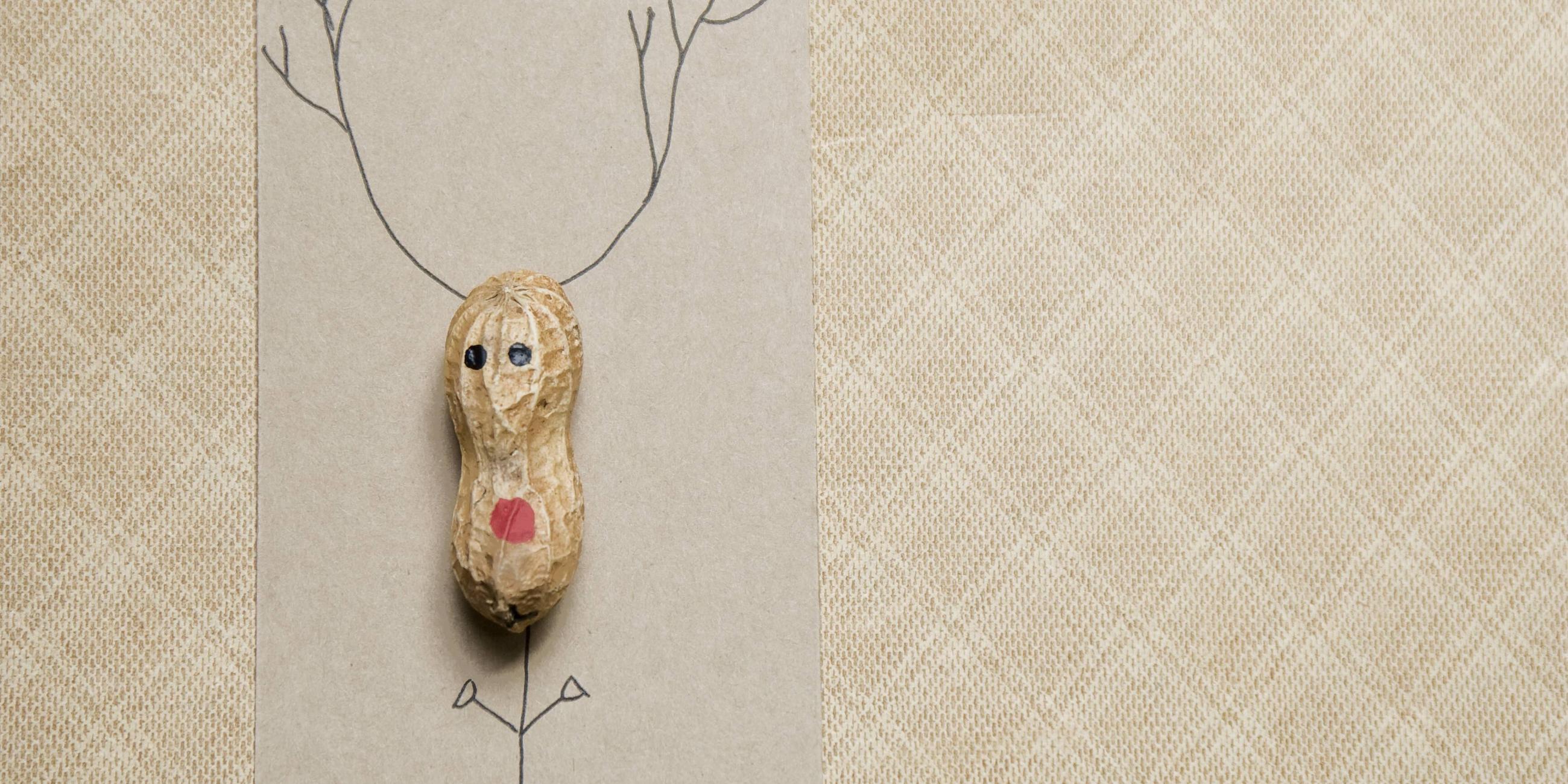 Eine Erdnussschale wurde auf ein Stück Papier geklebt. Dann wurde oben drüber zwei Hörner und unten Hände und Füße gemalt. So sieht es aus wie ein Rentier. 