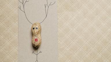Eine Erdnussschale wurde auf ein Stück Papier geklebt. Dann wurde oben drüber zwei Hörner und unten Hände und Füße gemalt. So sieht es aus wie ein Rentier. 