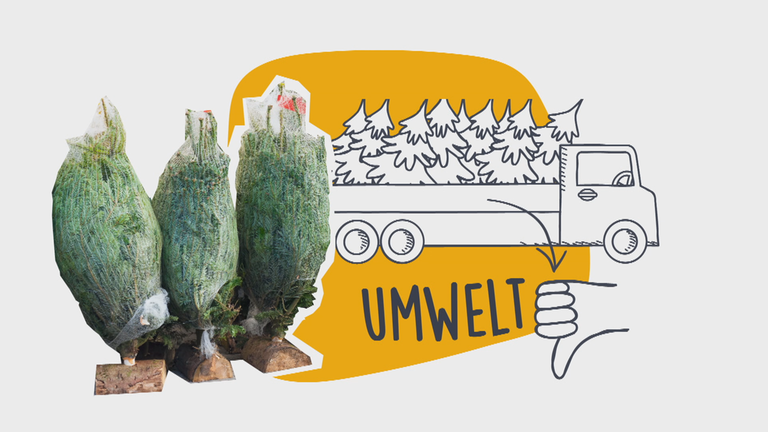 Weihnachtsbäume im Netz, Weihnachtsbäume auf einem Lastwagen, mit einem Daumen nach unten, zu lesen ist "Umwelt"