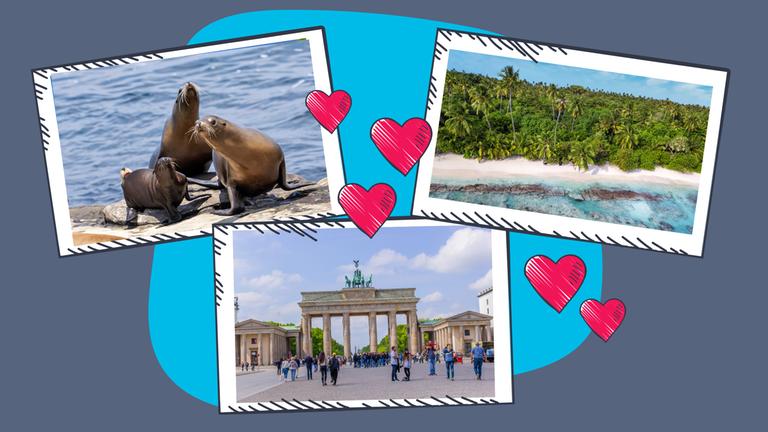 Drei Postkarten mit den Motiven: Seerobben, Strand mit Palmen und dem Brandenburger Tor in Berlin