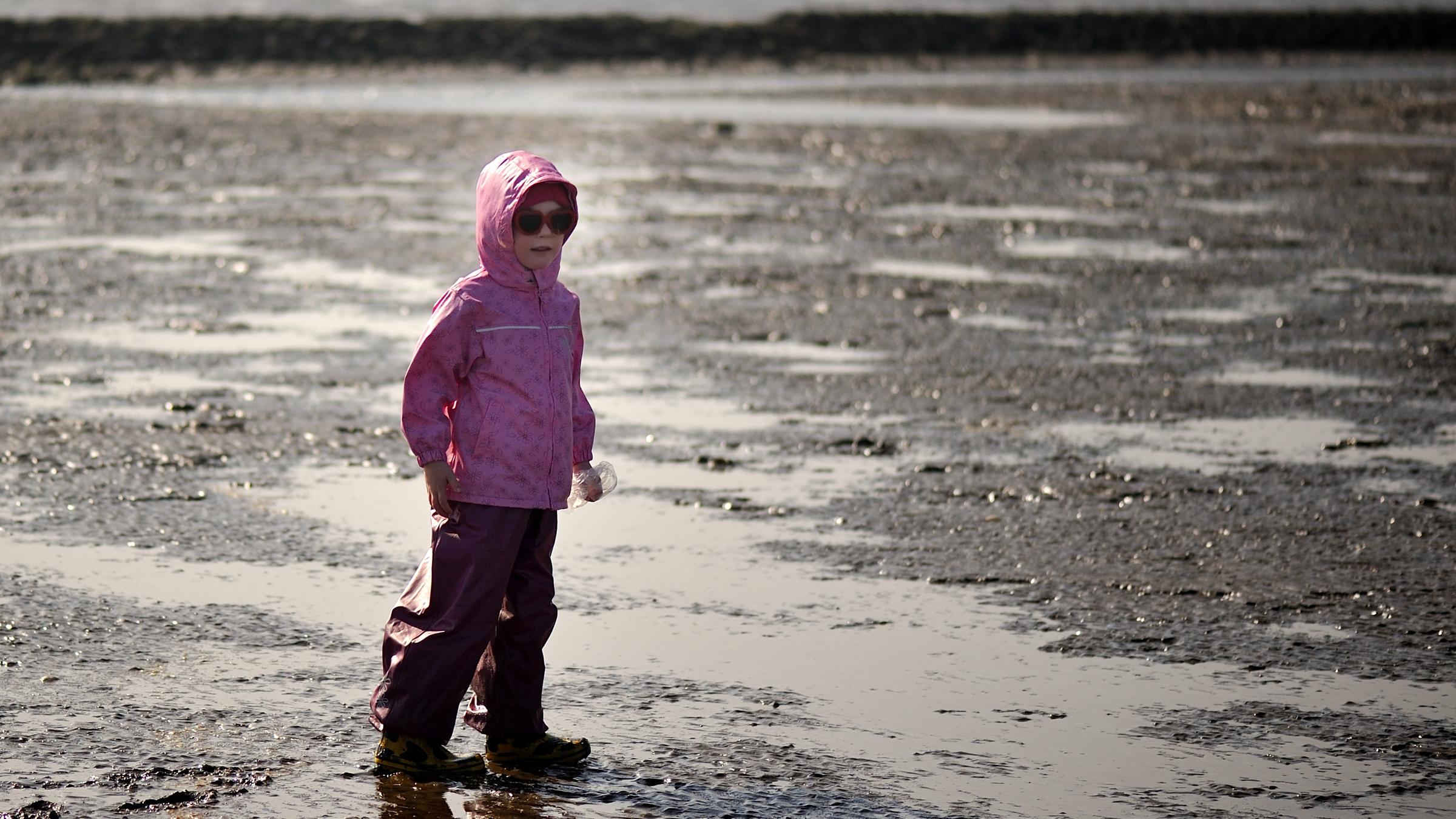 Naturpark Wattenmeer