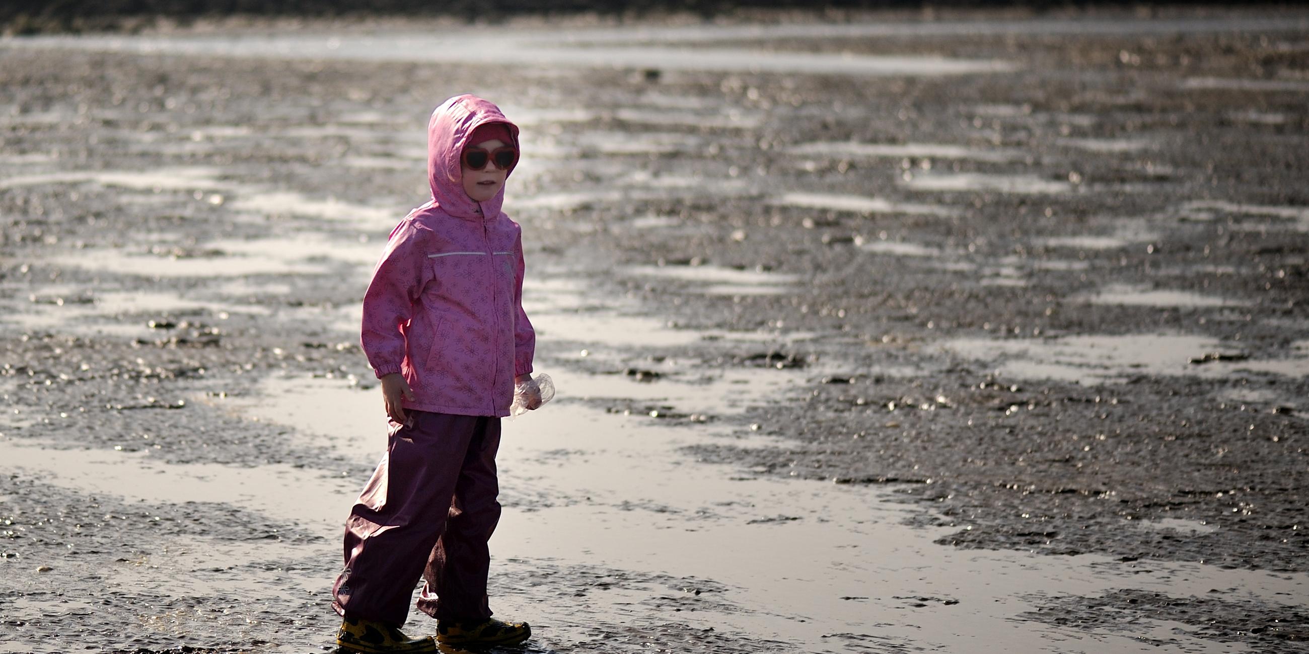 Naturpark Wattenmeer