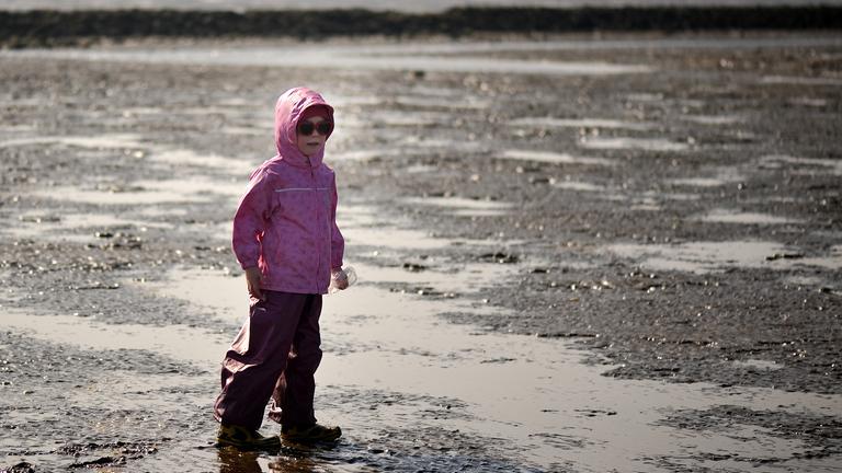 Naturpark Wattenmeer