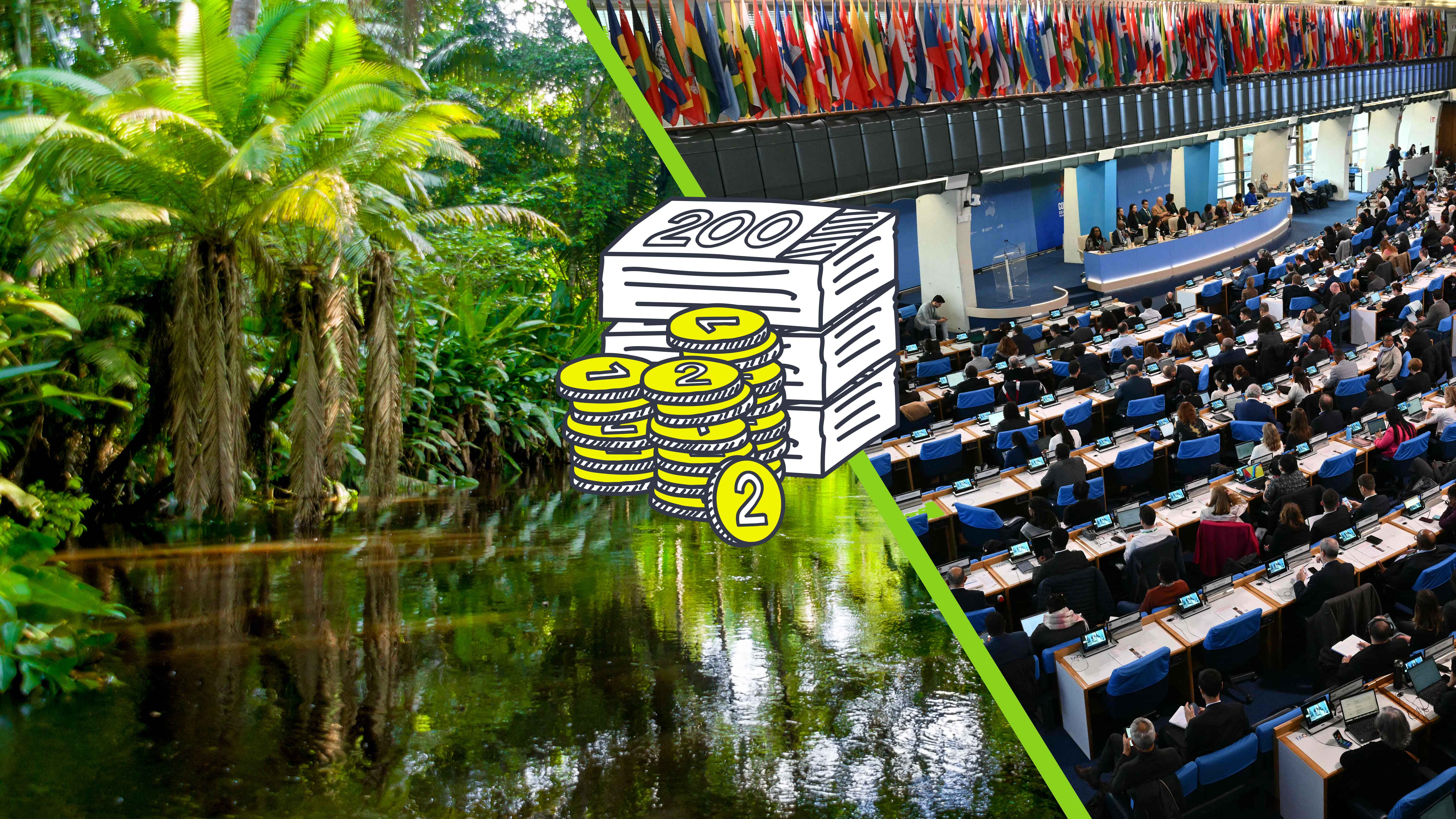 Auf der einen Seite Amazonas-Regenwald, auf der anderen die Weltnaturkonferenz, dazwischen Geld.