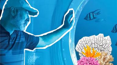 Rüdiger Koch steht in Unterwasserkapsel 