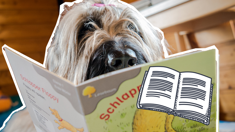 Hund beim Lesen