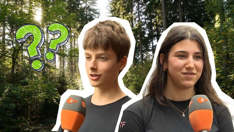 In einer Collage sprechen Kinder ins ZDF Mikrofon, daneben zwei grüne Fragezeichen, dahinter ein Bild von einem Wald